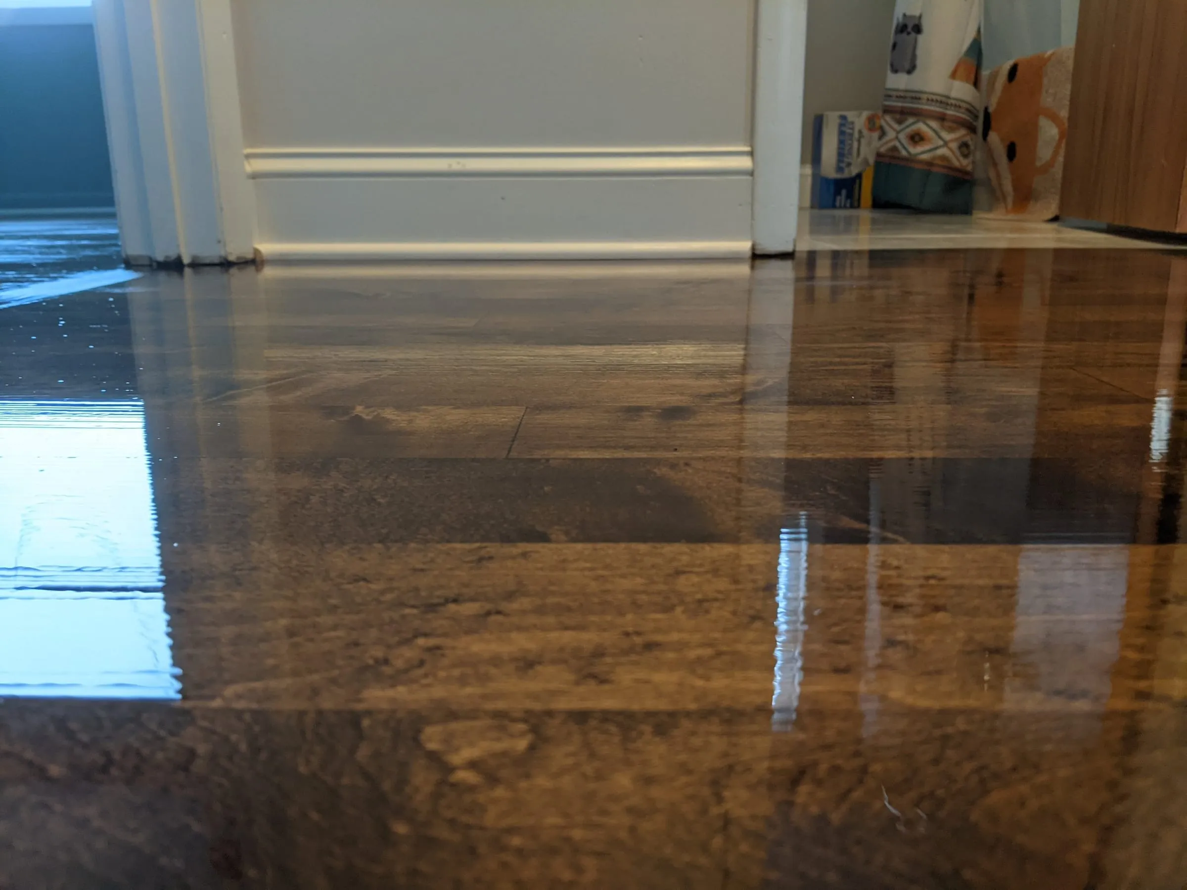 Glossy dark hardwood floor reflecting light at floor level