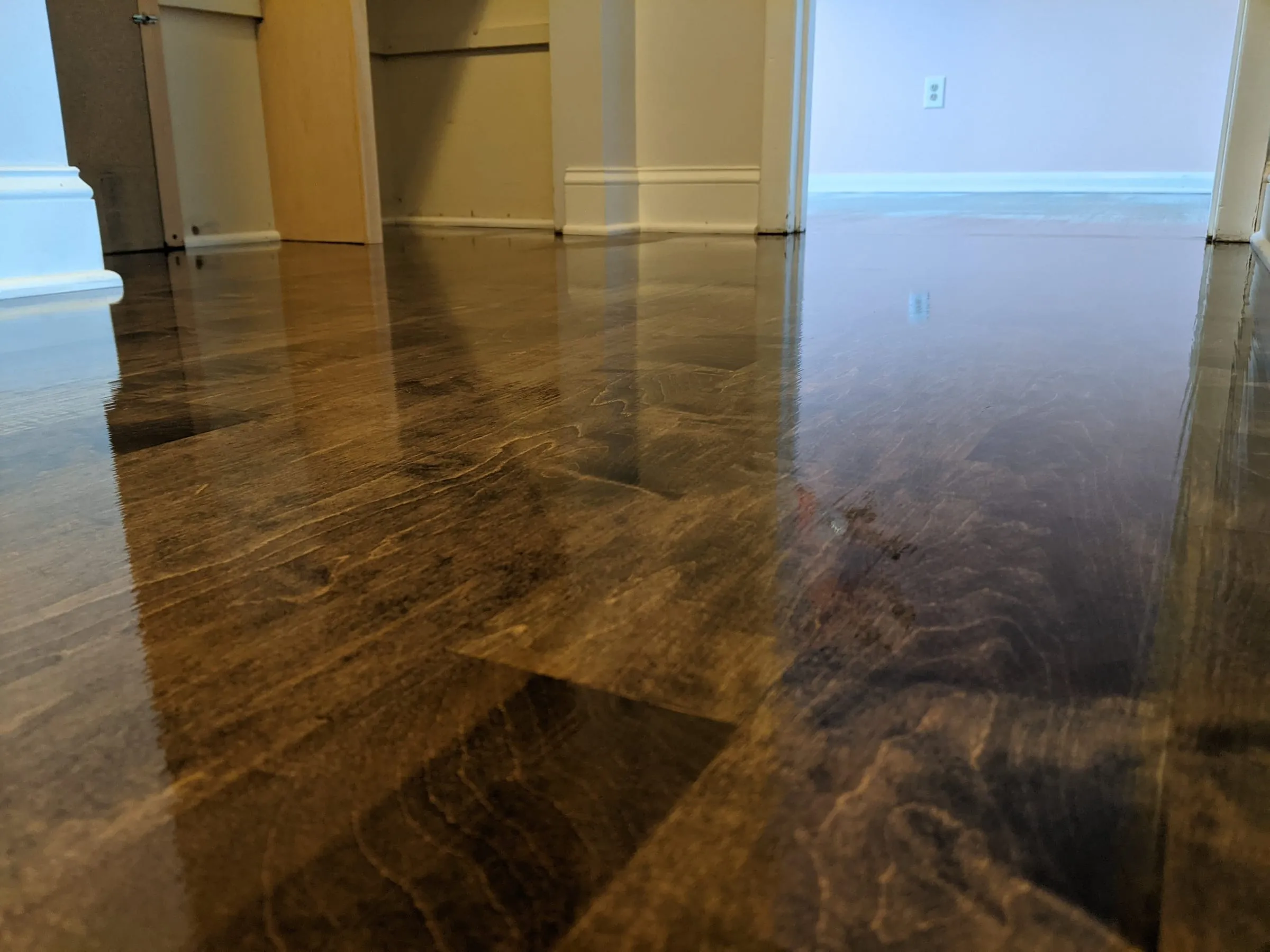 Low view of a mirror-finish dark hardwood floor